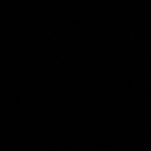 Meet your Posher, Rainey